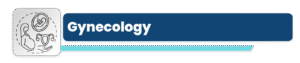 Services gynecology